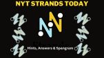 NYT Strands For June 11, 2025: Today's Hints, Answers And Spangram