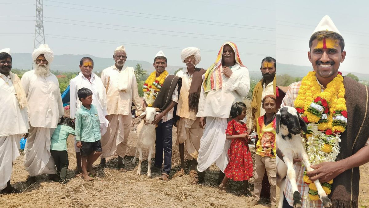 Birdev