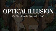 Optical Illusion: Only Sharp Eyes Can Find the Concealed Cat in Just 8 Seconds!